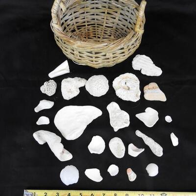 Small Basket with 24 rocks & shells