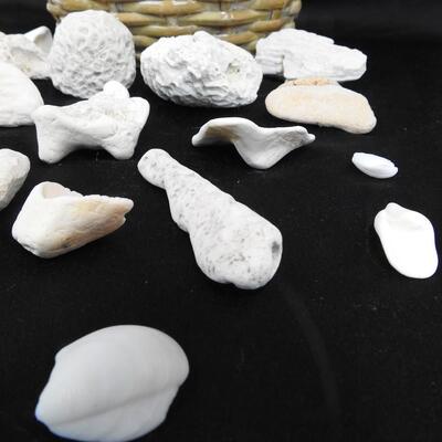 Small Basket with 24 rocks & shells