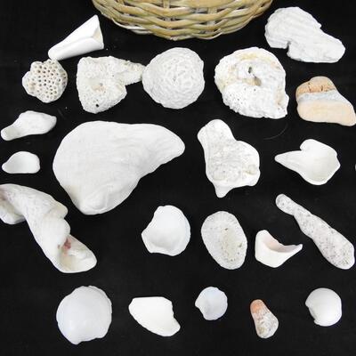 Small Basket with 24 rocks & shells