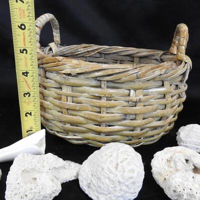 Small Basket with 24 rocks & shells