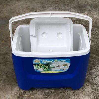 Lot of 2 Ice chests