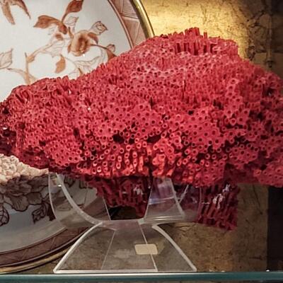 Red Coral