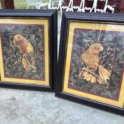 2 parrot prints