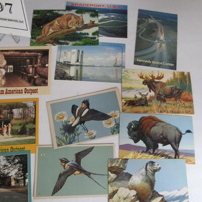 Lot of Travel Postcards, Florida Cyprus Gardens, Birds, Animals, Mystic Conneticut