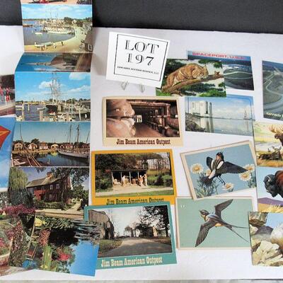 Lot of Travel Postcards, Florida Cyprus Gardens, Birds, Animals, Mystic Conneticut