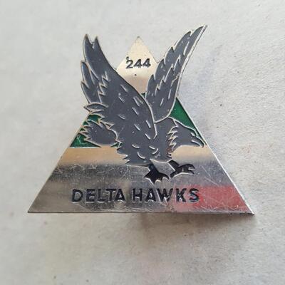 Vietnam-Era 244th Aviation Company Aerial Surveillance DELTA HAWKS Pin