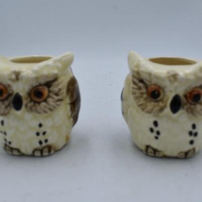 Owls tooth pick holders