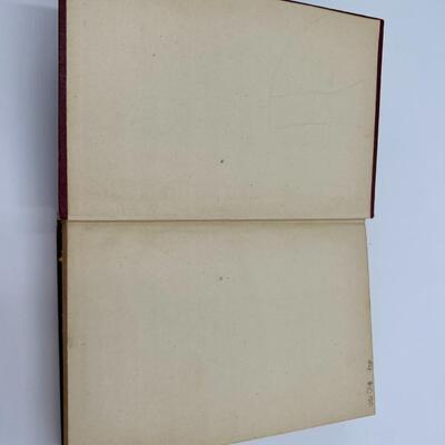 1918 Book Tarzan and the Jewels of Opar by Edgar Rice Burroughs