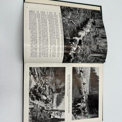 First Edition 1956 Book Glory Days of Logging by Ralph W. Andrews