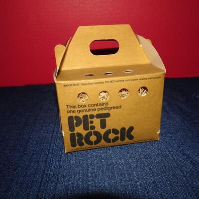 LOT 488. VINTAGE PET ROCK