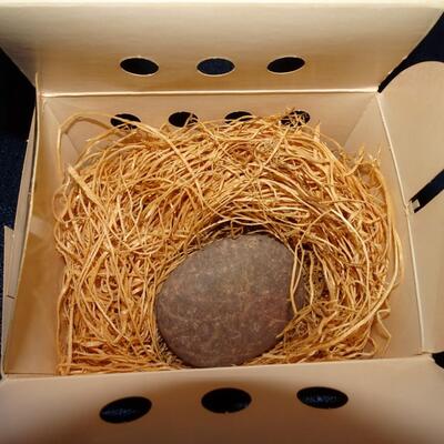 LOT 488. VINTAGE PET ROCK