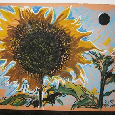 MS Paul Harris Drawing Sunflowers Homage Georgia O'Keeffe Impressionist Listed 1985
