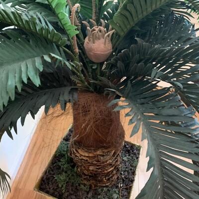 Faux Palm Tree w/ Woven Rug (DR-HS)
