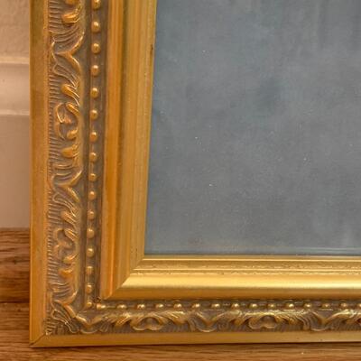 Queen Anne Style Splat Back Chair w/ Framed Biltmore Print & Natural Decor (LR-HS)