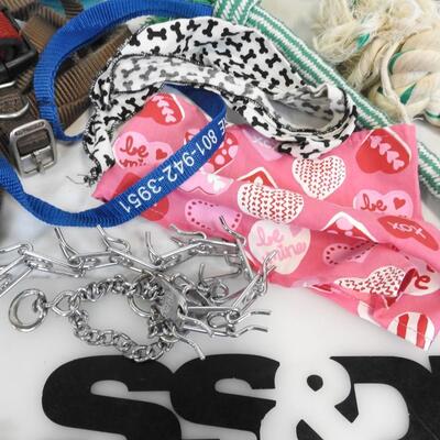 Pet Lot: Dog Collar, Toys, Leashes, E-Collar for Small Dog