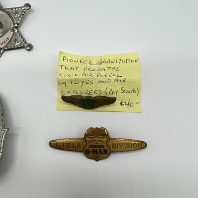 Premium Lot of 9 Antique Badges and Pins