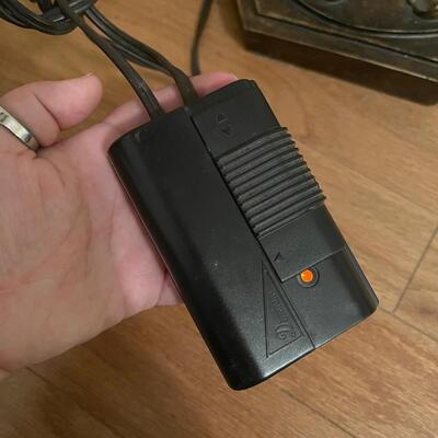 Bronze Palmetto Leaf Floor and Table Lamp (LR-SW)