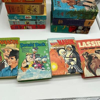 Lot of 15 Vintage A Big Little Book and The Better Little Book and More Childrens Books