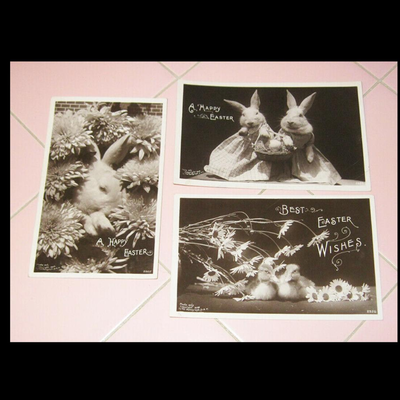 MS 3 RPPC Real Photo 1908 Postcards Happy Easter Rotograph Co. Chicks Bunny Rabbit