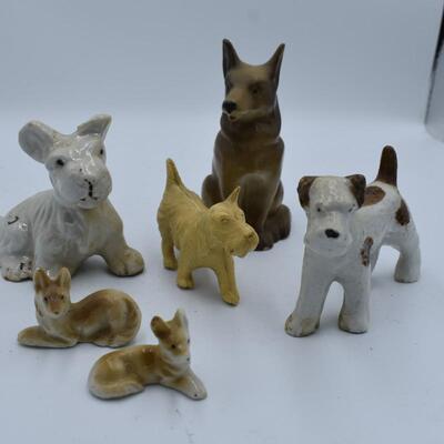 Cat Dog & Horse Collection