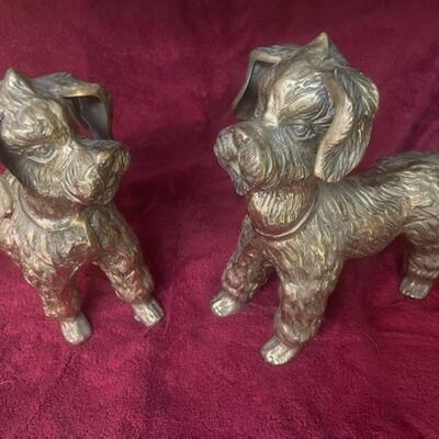 Pair of dogs
