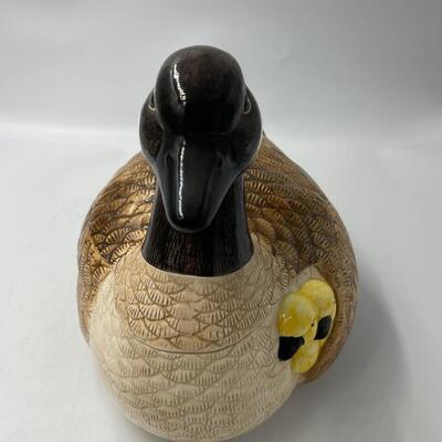 National Wildlife CANADIAN GOOSE