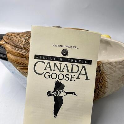 National Wildlife CANADIAN GOOSE