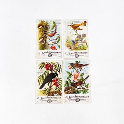 VINTAGE ARM & HAMMER BIRD TRADE CARDS LOT #1