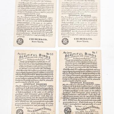ARM & HAMMER BIRD TRADE CARDS LOT #2