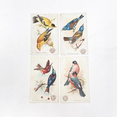 ARM & HAMMER BIRD TRADE CARDS LOT #3