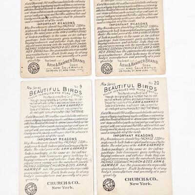 ARM & HAMMER BIRD TRADE CARDS LOT #3