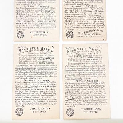 ARM & HAMMER BIRD TRADE CARDS LOT #4