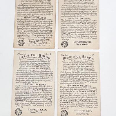 ARM & HAMMER BIRD TRADE CARDS LOT #6