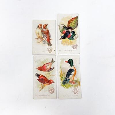 ARM & HAMMER BIRD TRADE CARDS LOT #7