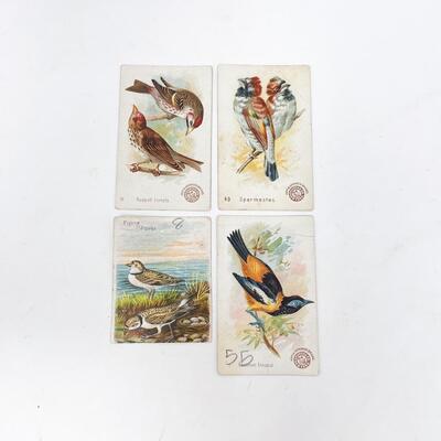 ARM & HAMMER BIRD TRADE CARDS LOT #9