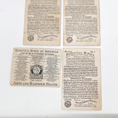 ARM & HAMMER BIRD TRADE CARDS LOT #9