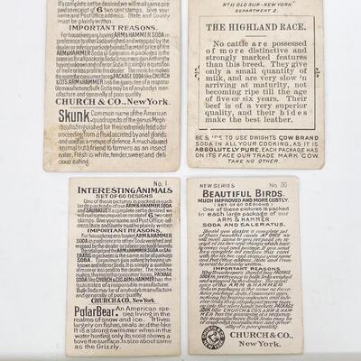 ARM & HAMMER ANIMAL TRADE CARDS