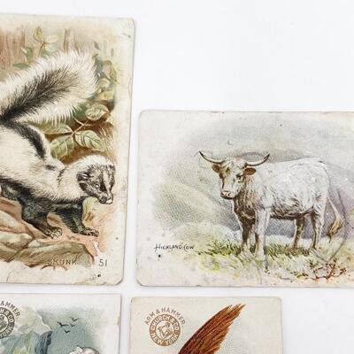 ARM & HAMMER ANIMAL TRADE CARDS