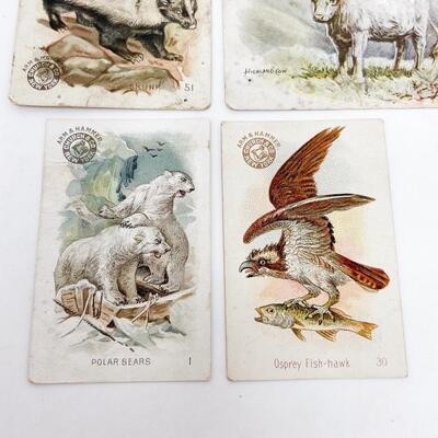 ARM & HAMMER ANIMAL TRADE CARDS