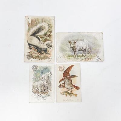 ARM & HAMMER ANIMAL TRADE CARDS