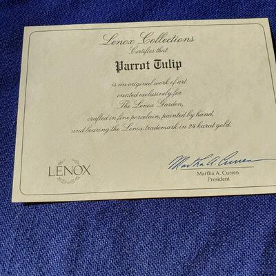 Lenox Parrot Tulip