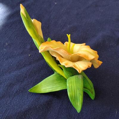 Lenox Gladiolus