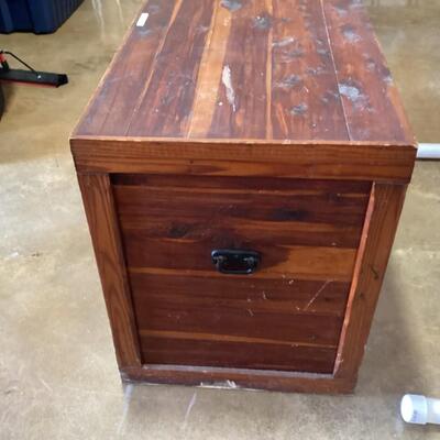 Large Cedar Trunk