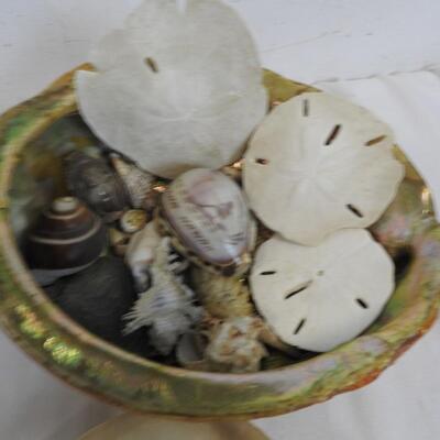 Seashells, Coral, Starfish, Sand Dollars, 1 Large Footed Shell,