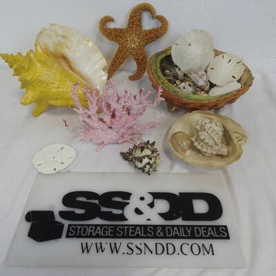 Seashells, Coral, Starfish, Sand Dollars, 1 Large Footed Shell,