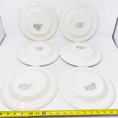 1965 ROYAL IRONSTONE â€œMEMORY LANEâ€ DINNER PLATES (6)