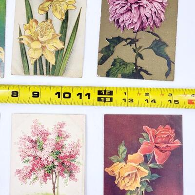 EARLY FLOWERED POSTCARDS 6 PC