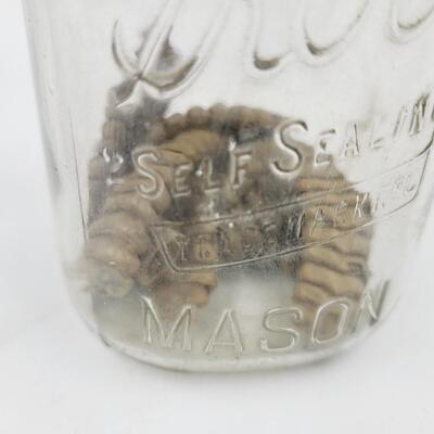 OLD KERR GLASS JAR W/ METAL LID - FULL OF RATTLE SNAKE RATTLES