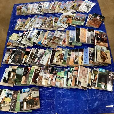 horse magazines