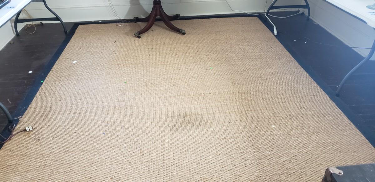 Large Tan Rug with Black Trim Lot, Rug Size 12 x 9